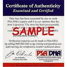 Carli Lloyd Signed Framed 16x20 USA World Cup Trophy Photo PSA/DNA