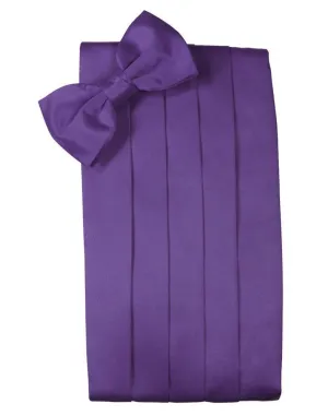Freesia Luxury Kids Satin Cummerbund
