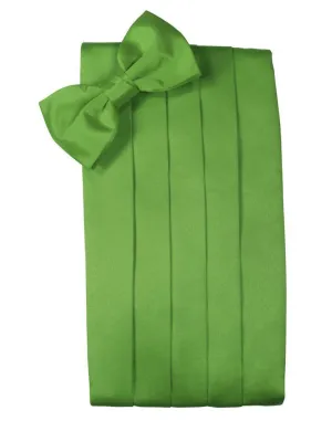 Kelly Luxury Kids Satin Cummerbund
