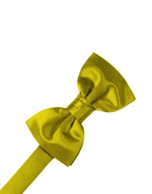 Willow Luxury Satin Kids Bow Tie