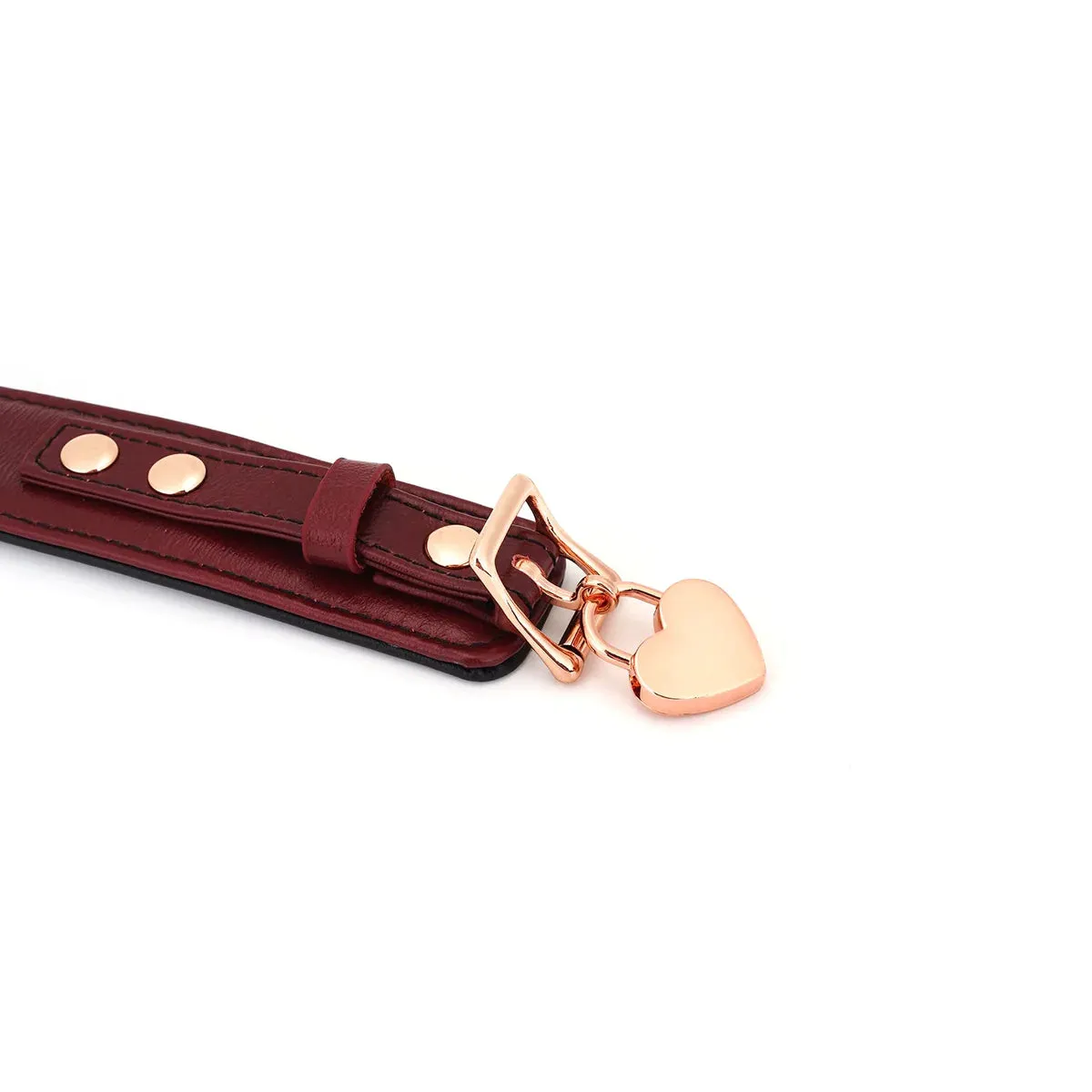 Wine Red Leather Collar with Leash and Lock