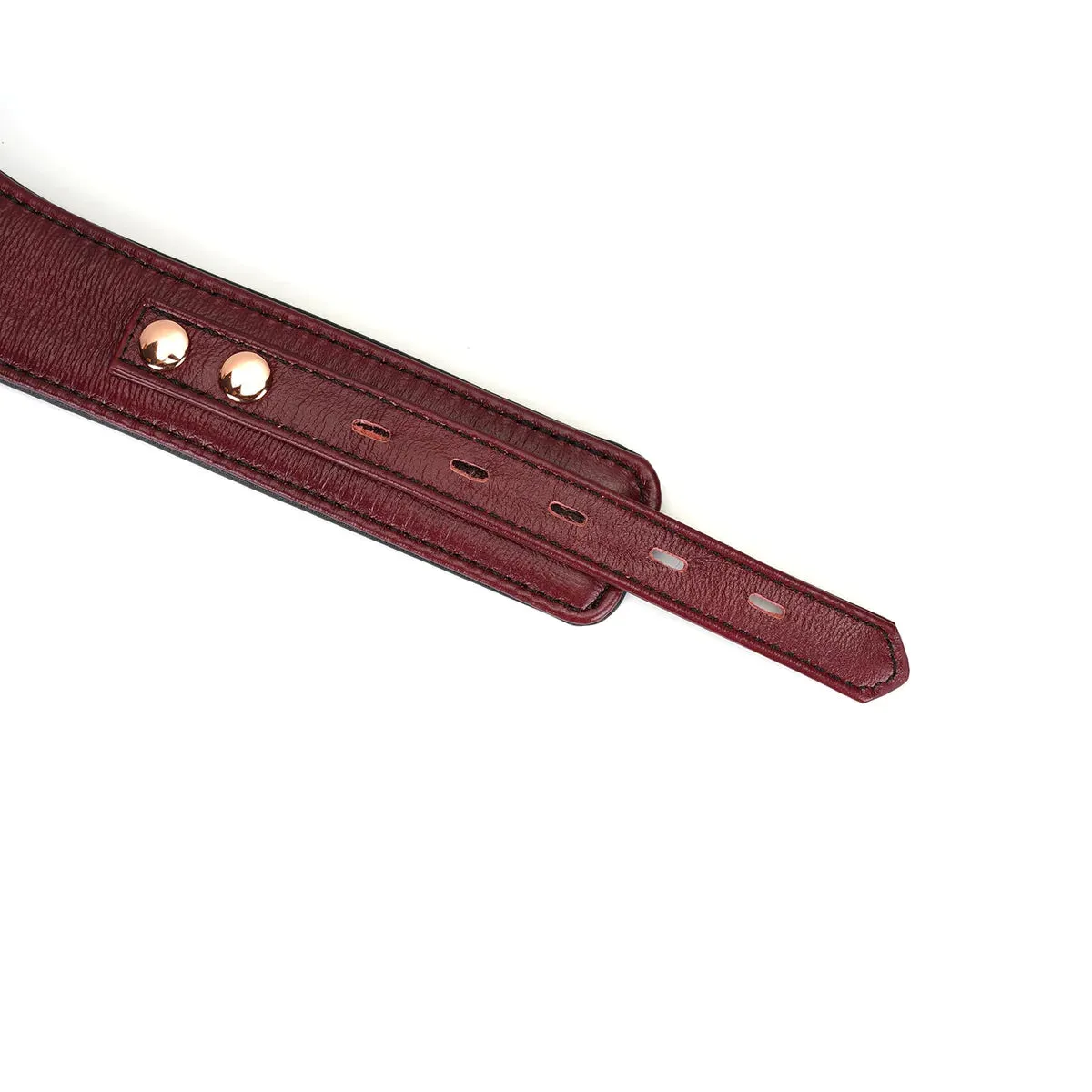 Wine Red Leather Collar with Leash and Lock